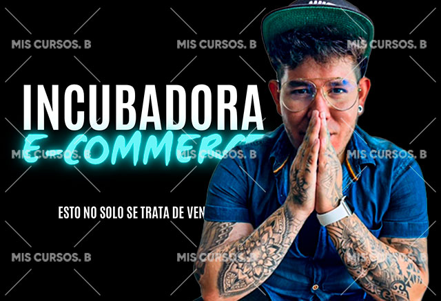 incubadora-e-commerce-de-fabian-hernandez_64254c62264b8