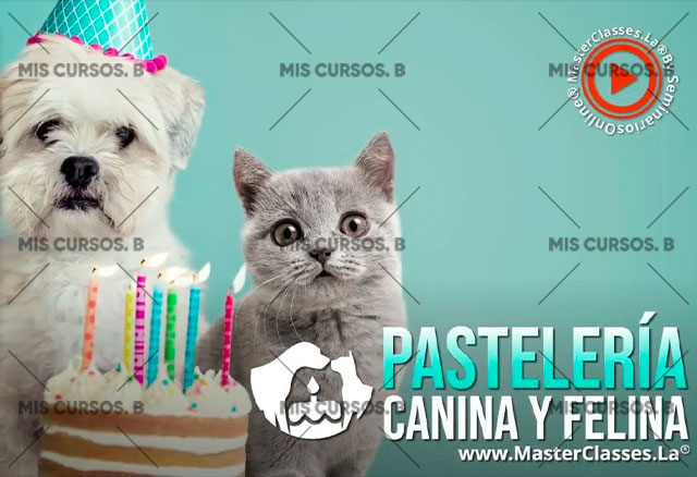 pasteleria-canina-y-felina_64254d4dd1bc5