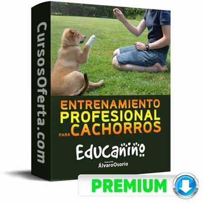 Curso Educanino – Álvaro Osorio 2 Curso Educanino – Álvaro Osorio