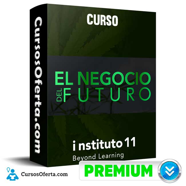 Curso El negocio del futuro – Instituto 11 2 Curso El negocio del futuro – Instituto 11
