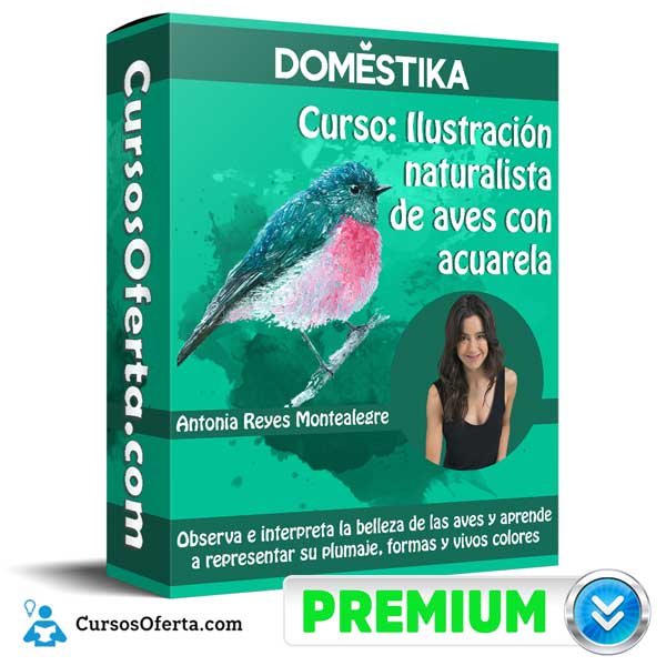 Cursos en Grupo | Descarga Cursos Online Baratos