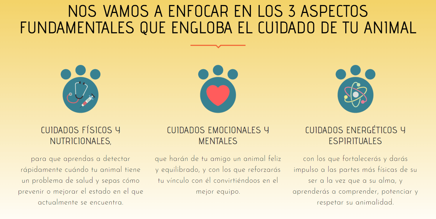 Descargar Gratis Curso Mi Animal Salud Equilibrio y Bienestar cursosengrupoorg Curso Mi Animal Salud Equilibrio y Bienestar Descargar Gratis