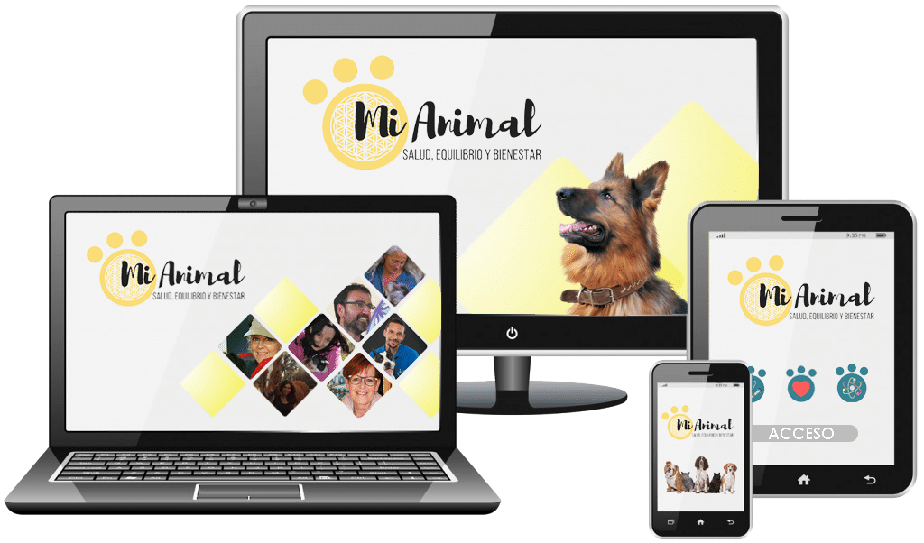 Curso Mi Animal Salud Equilibrio y Bienestar MIANIMALSEB EVENTO VIRTUAL 1024x602 - Curso Mi Animal Salud Equilibrio y Bienestar
