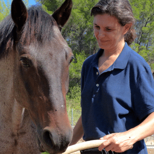 Curso Mi Animal Salud Equilibrio y Bienestar Marta Lorenzi - Curso Mi Animal Salud Equilibrio y Bienestar