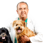 Curso Mi Animal Salud Equilibrio y Bienestar Carlos Alberto Gutierrez 150x150 - Curso Mi Animal Salud Equilibrio y Bienestar