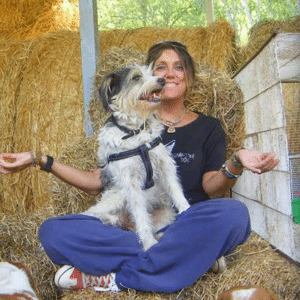 Curso Mi Animal Salud Equilibrio y Bienestar Susana Blanco - Curso Mi Animal Salud Equilibrio y Bienestar