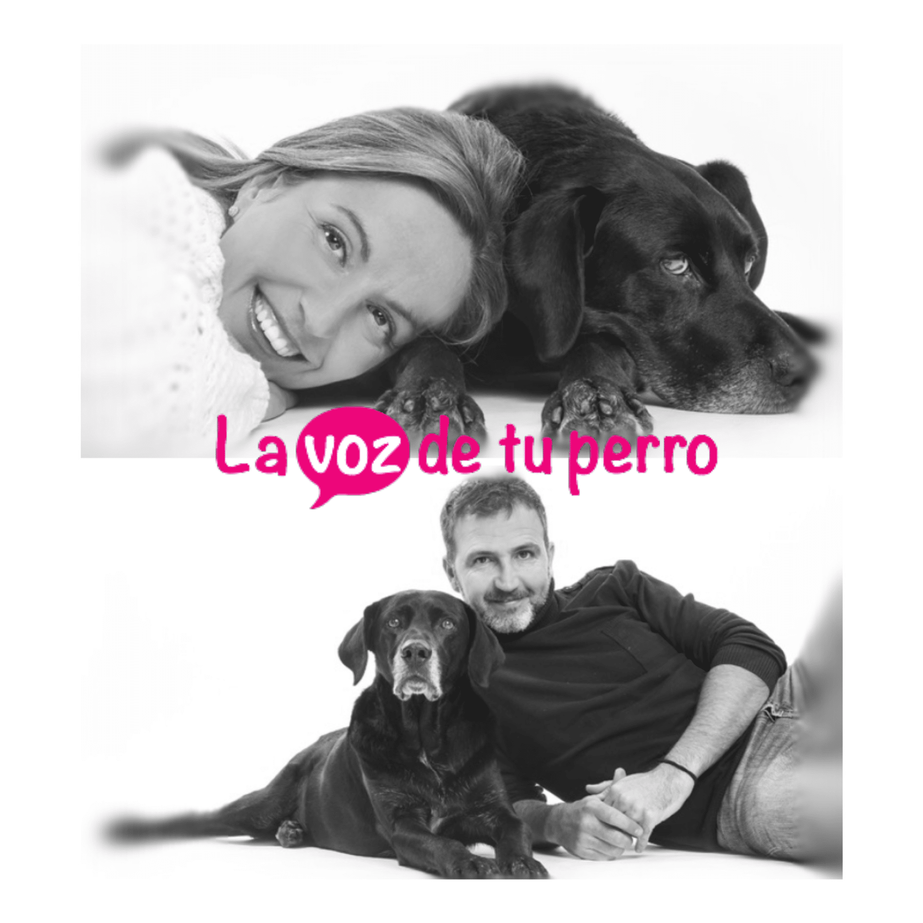 Curso Mi Animal Salud Equilibrio y Bienestar IMG 2339 La voz de tu perro - Curso Mi Animal Salud Equilibrio y Bienestar