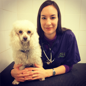 Curso Mi Animal Salud Equilibrio y Bienestar Neus Candela - Curso Mi Animal Salud Equilibrio y Bienestar
