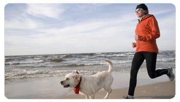 Curso Mi Animal Salud Equilibrio y Bienestar CORRIENDO - Curso Mi Animal Salud Equilibrio y Bienestar