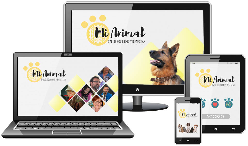 Curso Mi Animal Salud Equilibrio y Bienestar MIANIMALSEB EVENTO VIRTUAL 1 1024x602 - Curso Mi Animal Salud Equilibrio y Bienestar