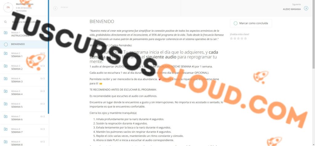 MetAMORphosis – Carlos Fernandez 2 MetAMORphosis – Carlos Fernandez metamorphosis carlos fernandez 6690a2da1a703