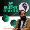 Halcones de Venta 5 de Instituto 11