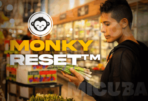 monkyreset transformacion integral 684a1ec12e86e