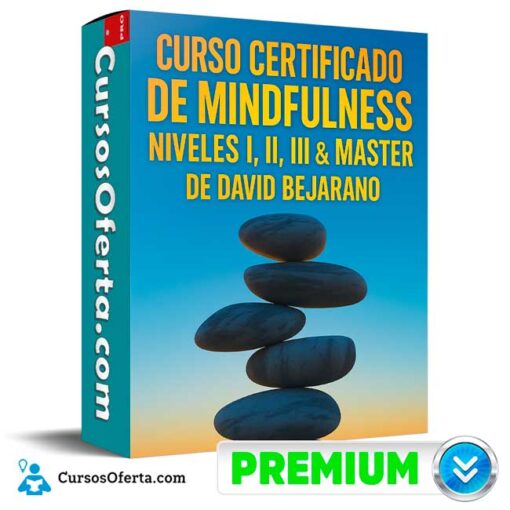 Curso Certificado de Midfulness. Niveles I, II, III & Master de David Bejarano 8 Curso Certificado de Midfulness. Niveles I, II, III & Master de David Bejarano curso certificado de midfulness niveles i ii iii master de david bejarano 694e3ce7d23ea